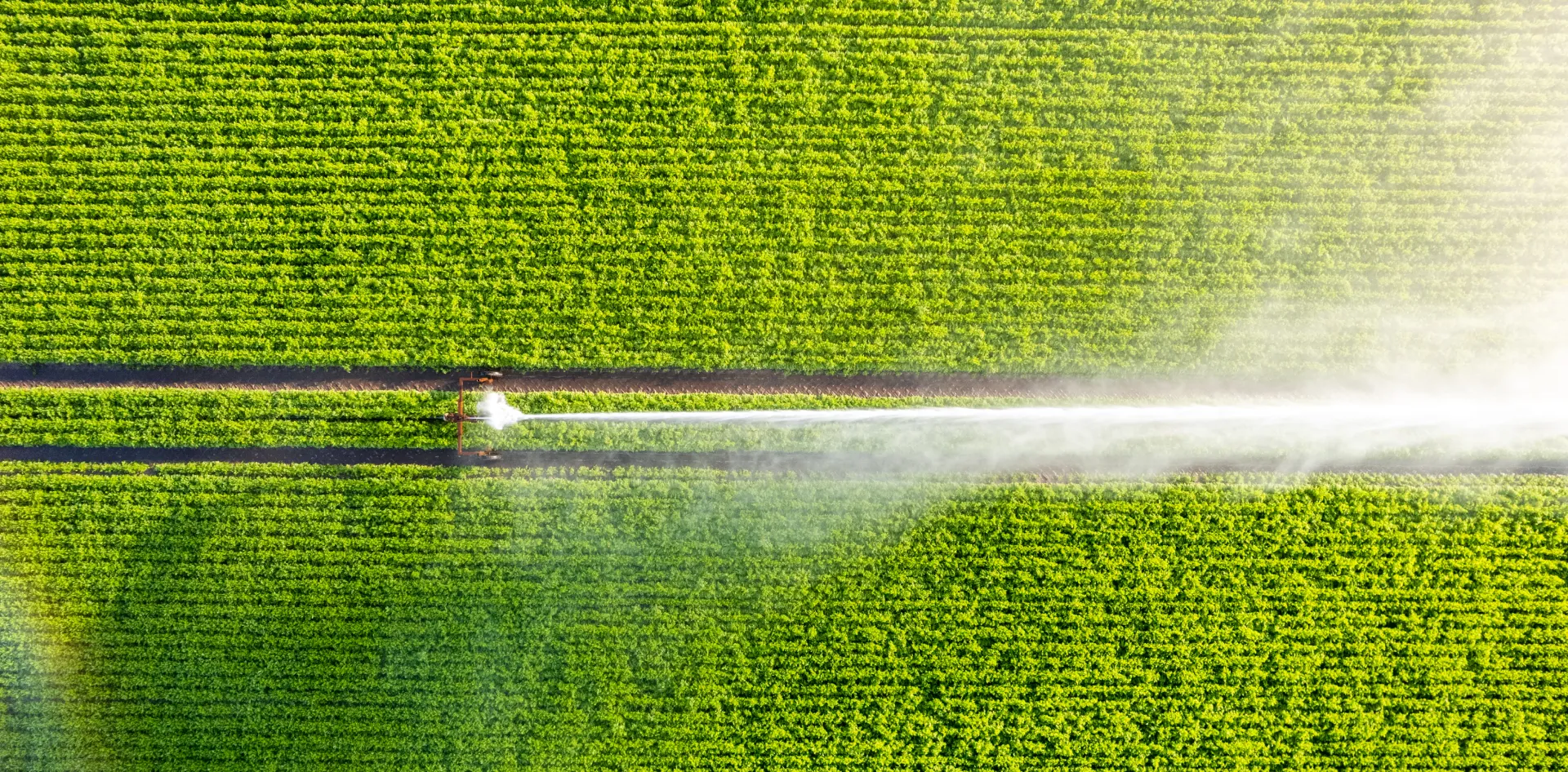 DOORM.AI Dashboard Preview